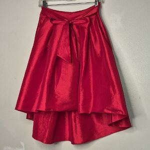 Elegant Red Women's Skirt